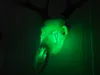 Light up Skull 
