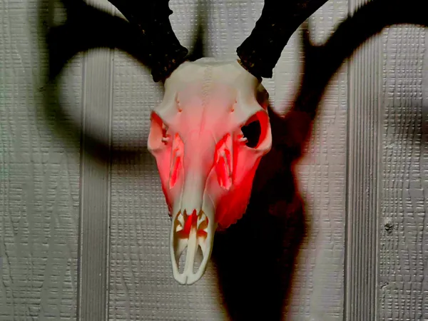 https://makerworld.bblmw.com/makerworld/model/US1a8b2e22bd67dc/design/4807fdf26eb154a6.jpg