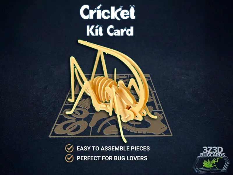 Cricket Bug Kit Card - BugCards