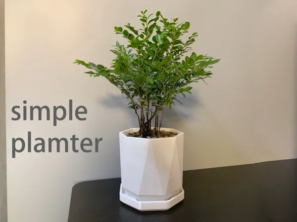 https://makerworld.bblmw.com/makerworld/model/US1a97d53c797d21/design/2025-05-04_5f535d689de4c.jpg