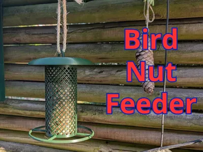 Bird Feeder for Peanuts & More