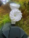 0.16mm layer, 2 walls, 15% infill