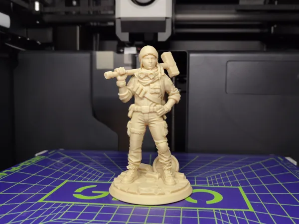 https://makerworld.bblmw.com/makerworld/model/US1a9cde3187c5c7/design/17a422206b2b3543.jpg
