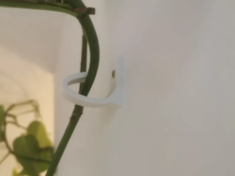 Hook For Plants