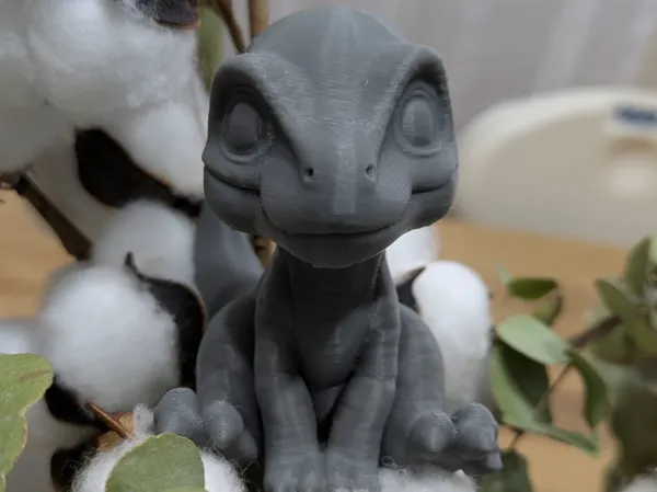 https://makerworld.bblmw.com/makerworld/model/US1aa24f09063068/design/2025-03-29_fb8df91fab633.jpg