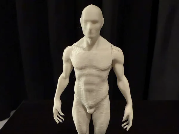 https://makerworld.bblmw.com/makerworld/model/US1aa701daefec61/design/2024-10-04_c9be0016f36be8.jpg