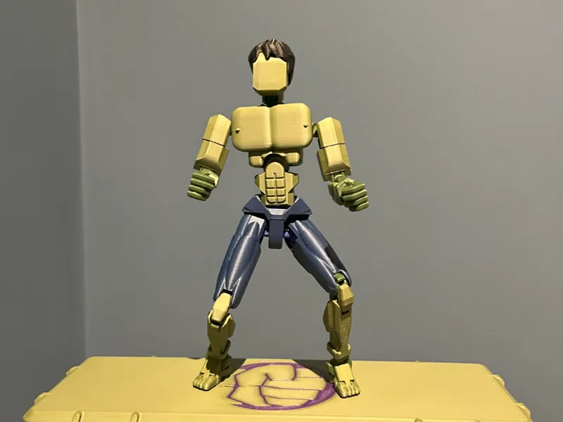 Dummy 13 - The Hulk Costume