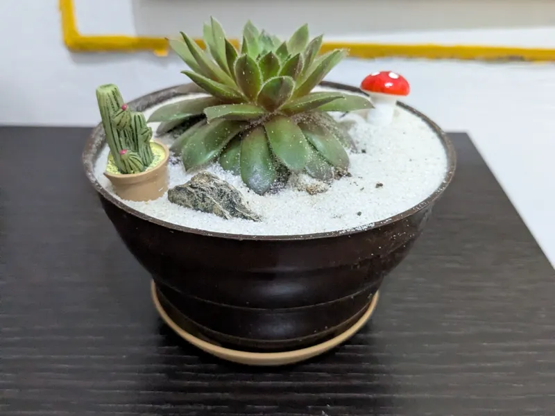 Sottovaso