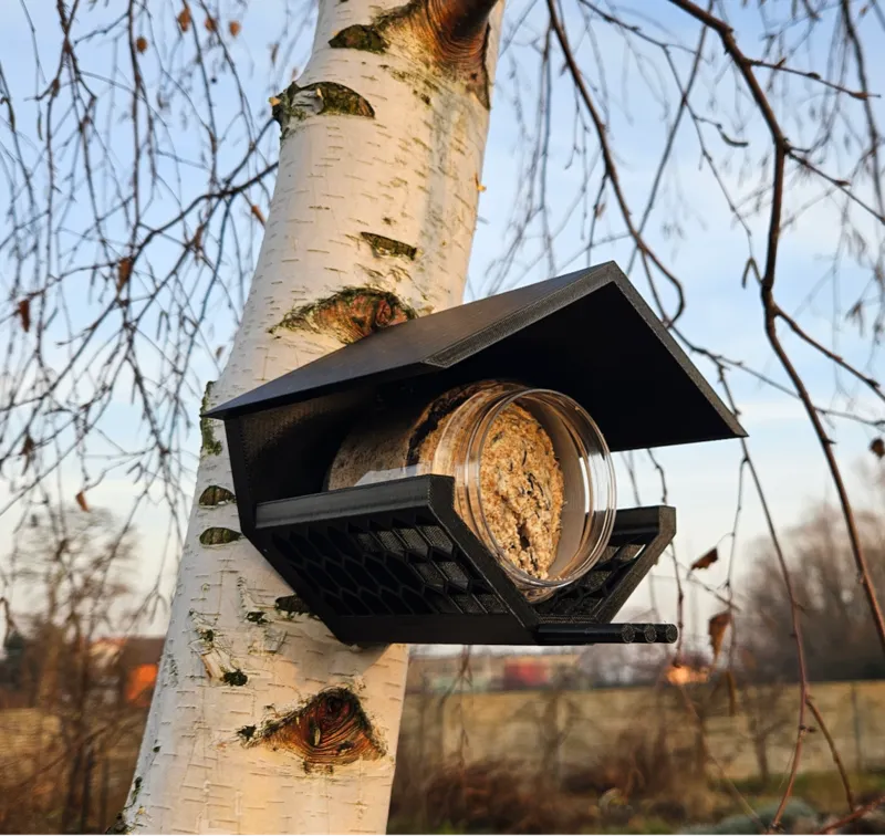birds feeder jar