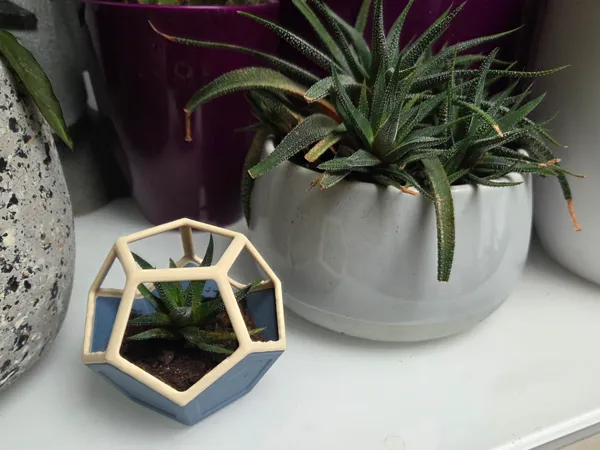 https://makerworld.bblmw.com/makerworld/model/US1ab8b6ad74f5e7/design/2025-10-21_d747cb9d093c3.jpg