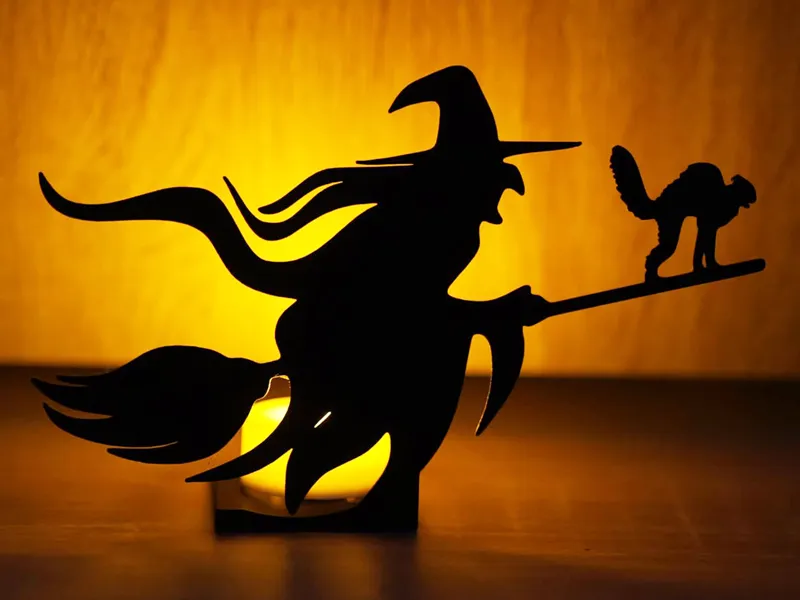 Witch on the broom with cat