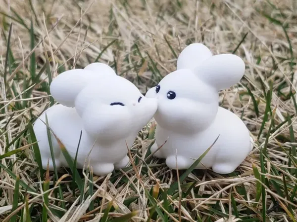 https://makerworld.bblmw.com/makerworld/model/US1abff1ca6e78d8/design/2025-03-20_6b4304204a6f.jpg