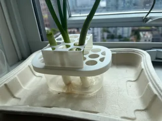 Green onion grower lid for Walmart containers
