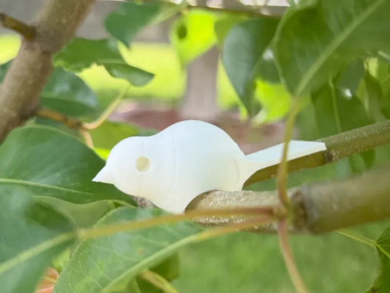 cute bird decoration