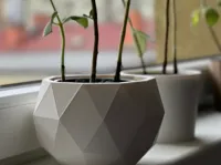 Pot de fleurs low poly — photo 1