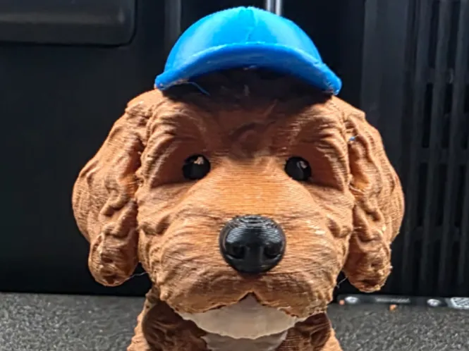 mini golden doodle
