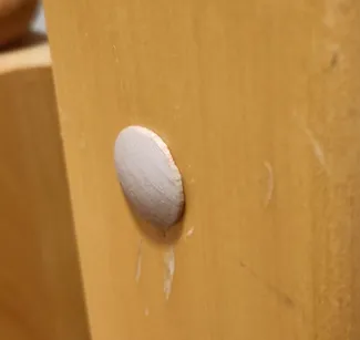 Hole Screw Cover Cap