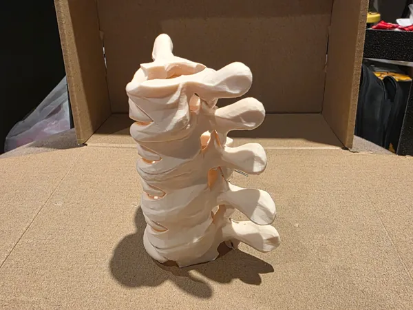 https://makerworld.bblmw.com/makerworld/model/US1ae15b35b95518/design/a4ce573f7711ff95.jpg