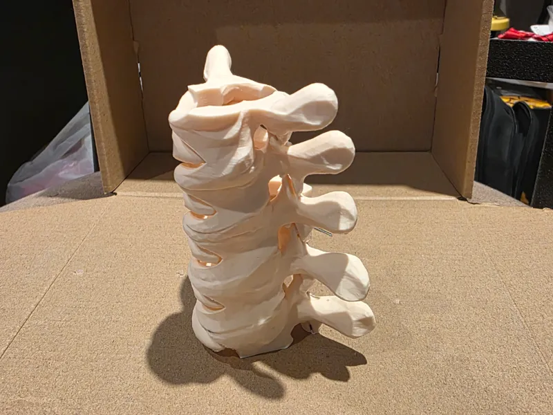 Spin Bone Hair Clip