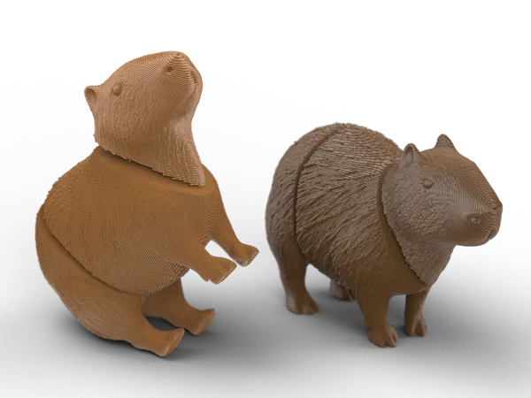 https://makerworld.bblmw.com/makerworld/model/US1ae17878e66fe3/design/f26cdc49c0323583.png
