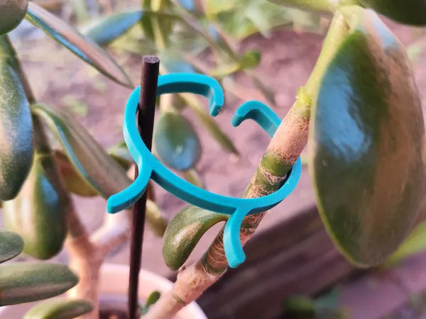 https://makerworld.bblmw.com/makerworld/model/US1ae2313dbbe015/design/b2733412204279c1.jpg