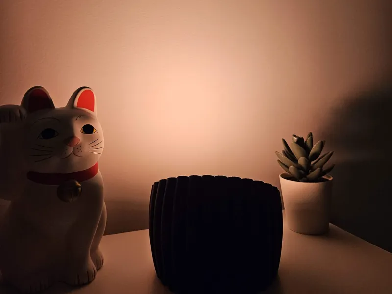 Bloom - Customizable Sunset Lamp