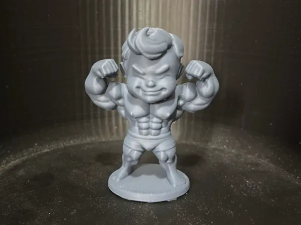 https://makerworld.bblmw.com/makerworld/model/US1af4e0d1b7034a/design/2025-04-12_dc9ad4cae5ef7.jpg