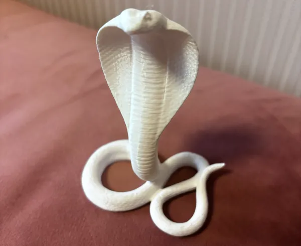 https://makerworld.bblmw.com/makerworld/model/US1af54082fd14d1/design/2025-01-02_855dfe64c07e4.jpg