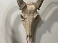 Fractured 2 - BAS Skull - 100% Scale