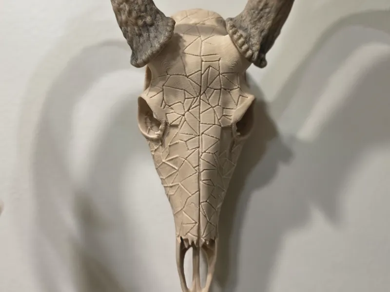 Graphic Deer Skull - Fractured 2.0 - BAS Antlers
