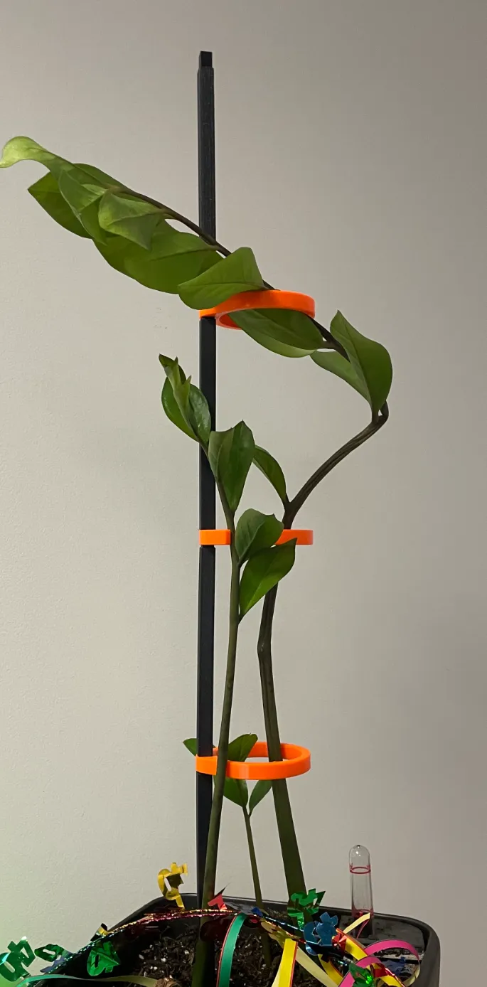 Plant Support with rings