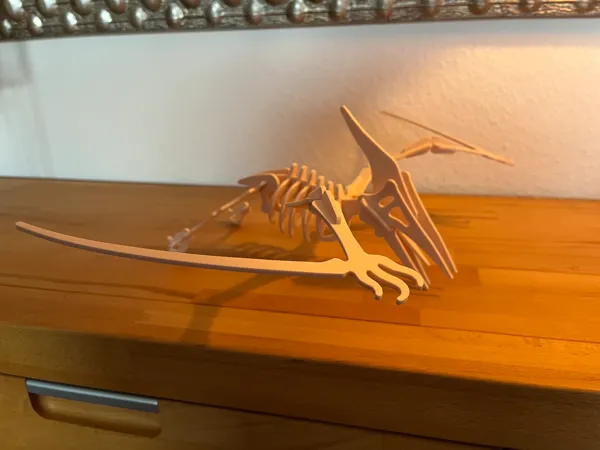 https://makerworld.bblmw.com/makerworld/model/US1af933e52348b9/design/2024-12-09_356e28a5a9adb8.jpg
