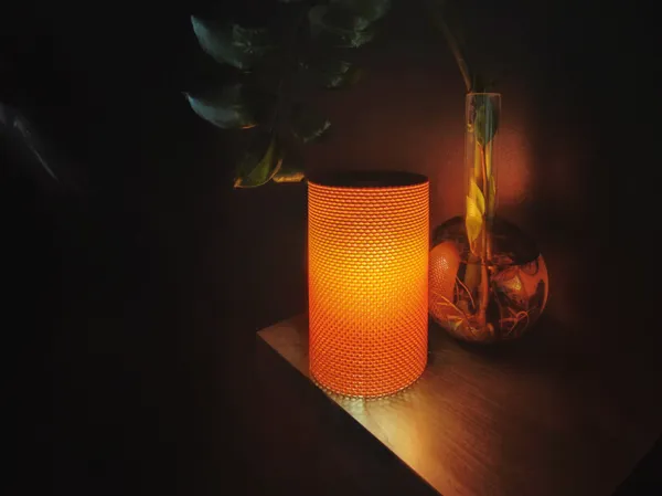 https://makerworld.bblmw.com/makerworld/model/US1afafce27f8573/design/2025-02-09_d6deefa751ebb.jpg