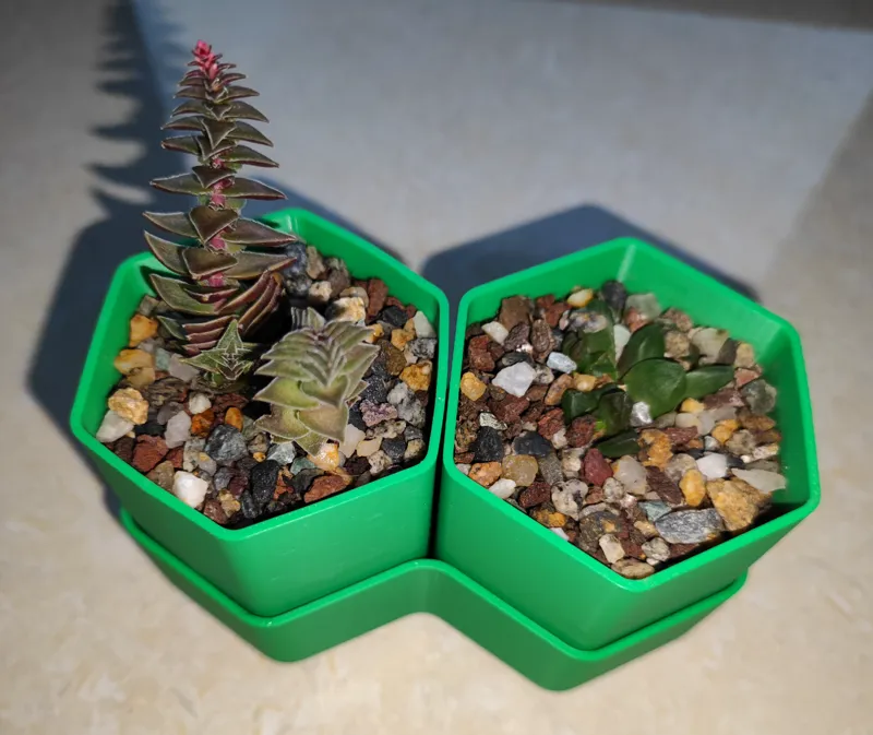 succulent plant pots-多肉花盆