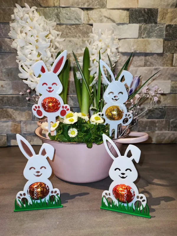 https://makerworld.bblmw.com/makerworld/model/US1affdafc92986e/design/2024-02-02_4cb28319938ec.jpg