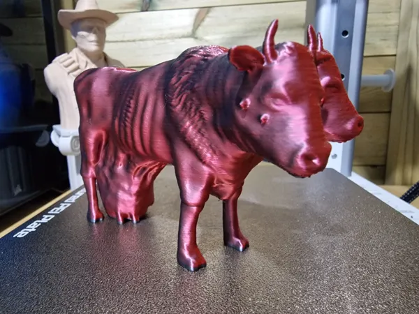 https://makerworld.bblmw.com/makerworld/model/US1b037b00c481f7/design/2024-04-30_663e5bb5272e6.jpg