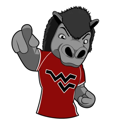 WVHS Shelby Mascot Keychain