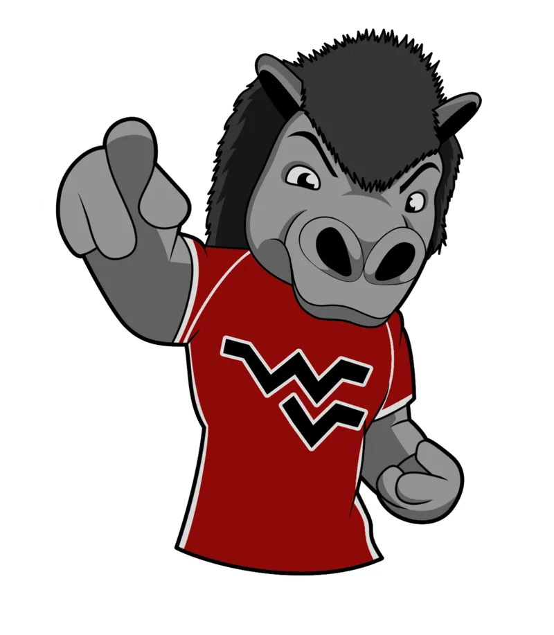 WVHS Shelby Mascot Keychain