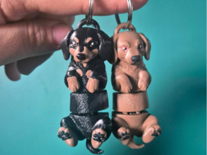 Dachshund Keychain - Articulated Friend