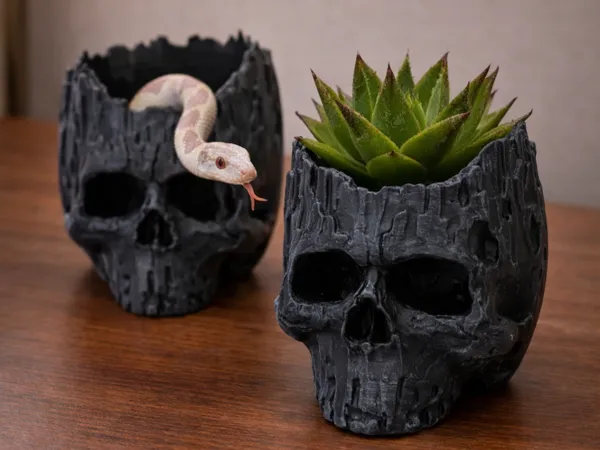 https://makerworld.bblmw.com/makerworld/model/US1b074479ca7509/design/d389f928d4ae1889.png
