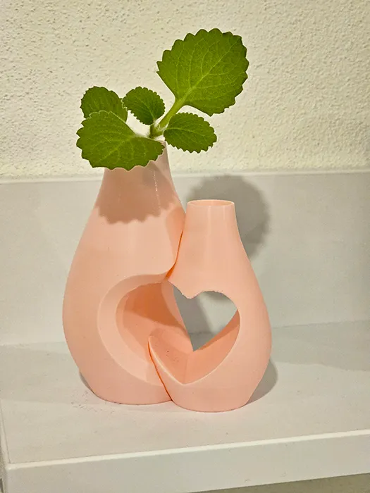 https://makerworld.bblmw.com/makerworld/model/US1b0b4d5e53d231/design/2024-02-25_776b3fbeb5c05.jpg