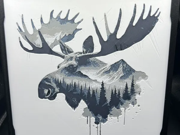 https://makerworld.bblmw.com/makerworld/model/US1b0b8fe7621878/design/2025-02-20_cbc9c947c71ae.jpg