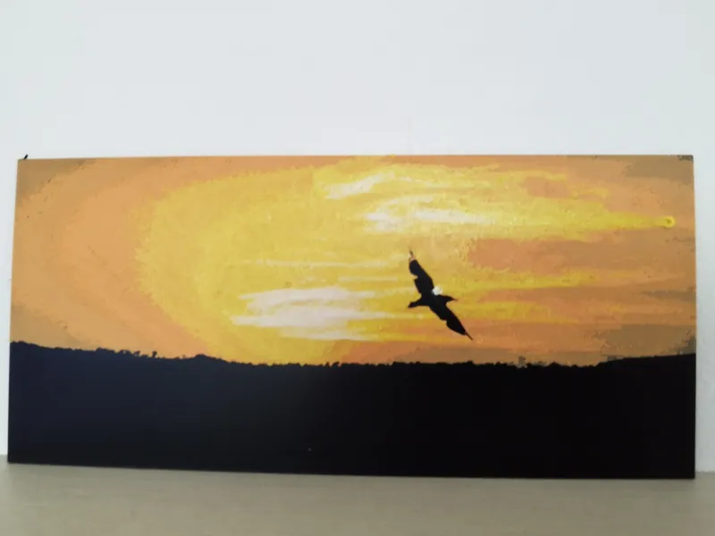 Bird flyng in sunset