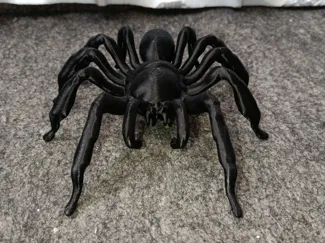 araña tarantula