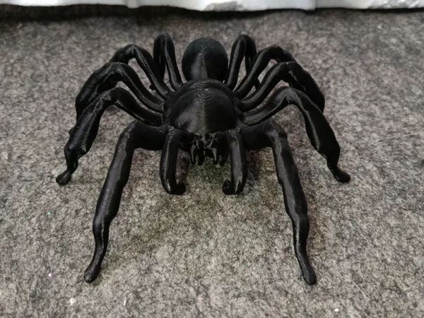 Tarentule (araignée)