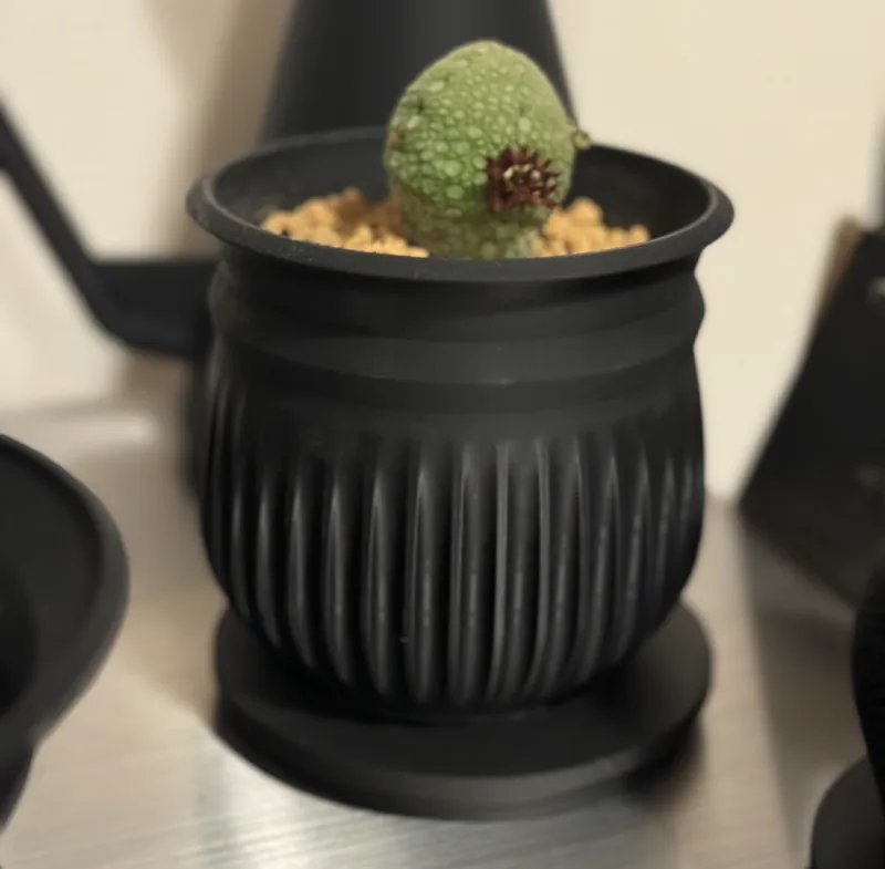 Planter7