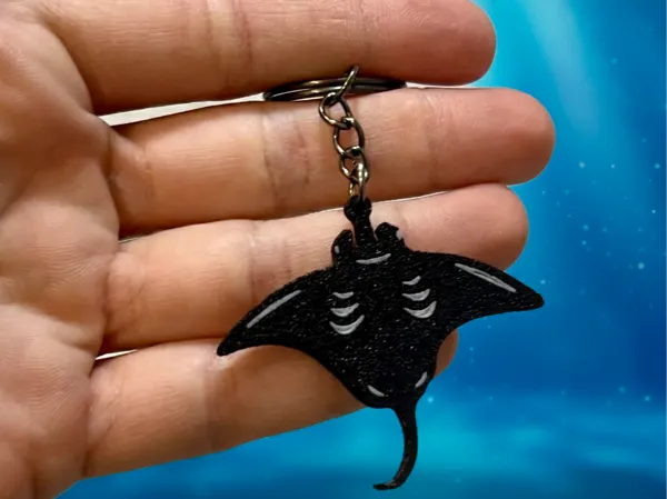 https://makerworld.bblmw.com/makerworld/model/US1b29bff794edc5/design/2025-10-23_6b0de3b806b65.jpeg