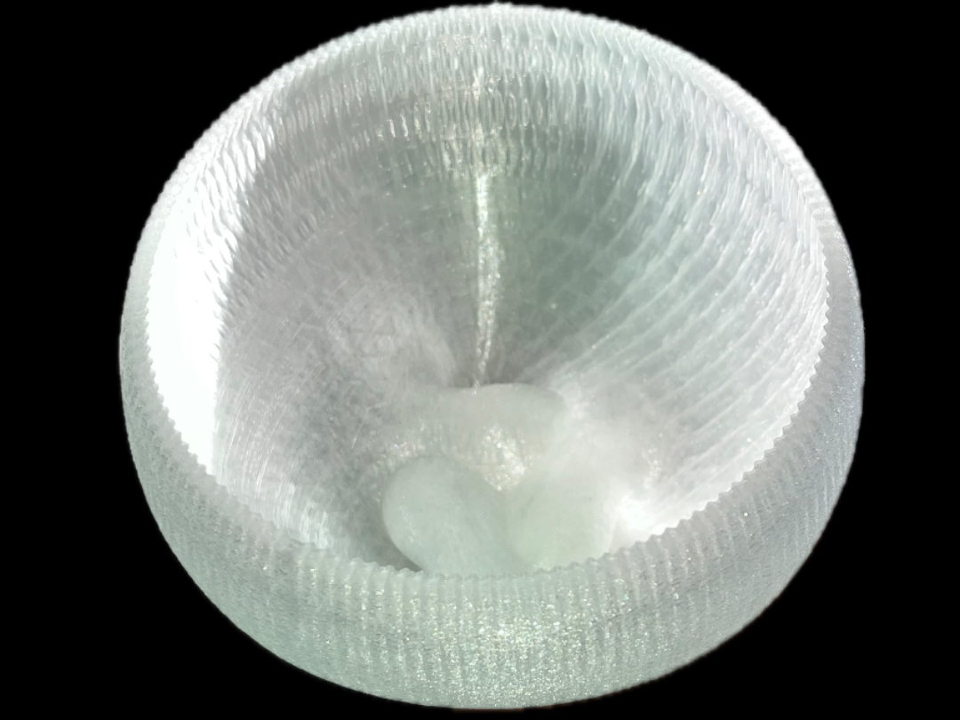 Boy's Bowl