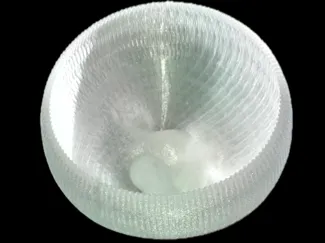 Boy's Bowl