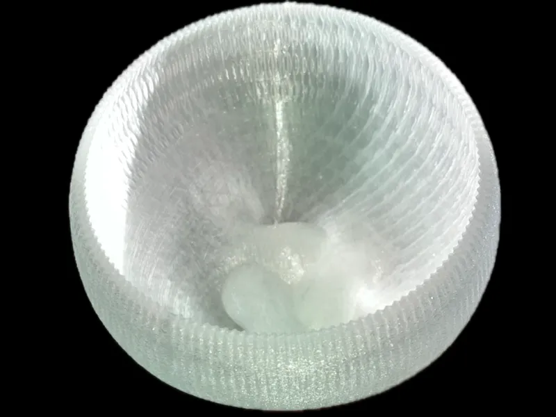 Boy's Bowl